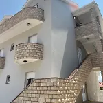 Aleksic *