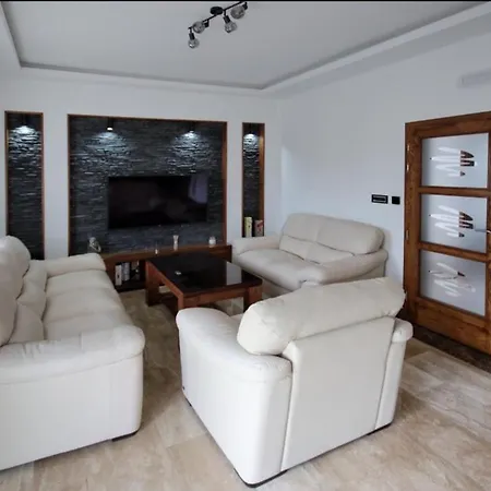 Apartment Aleksic