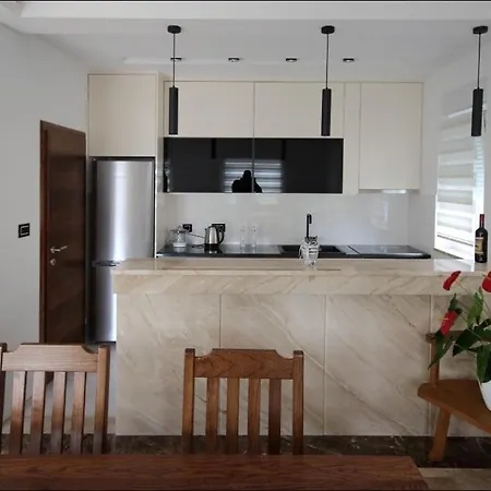 Aleksic Apartment