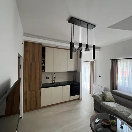 Apartment Aleksic *