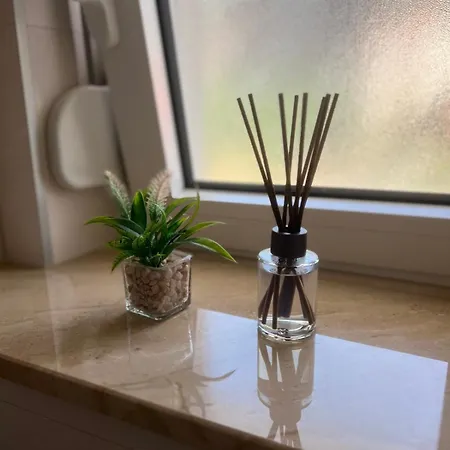 Apartment Aleksic