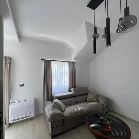 Apartment Aleksic